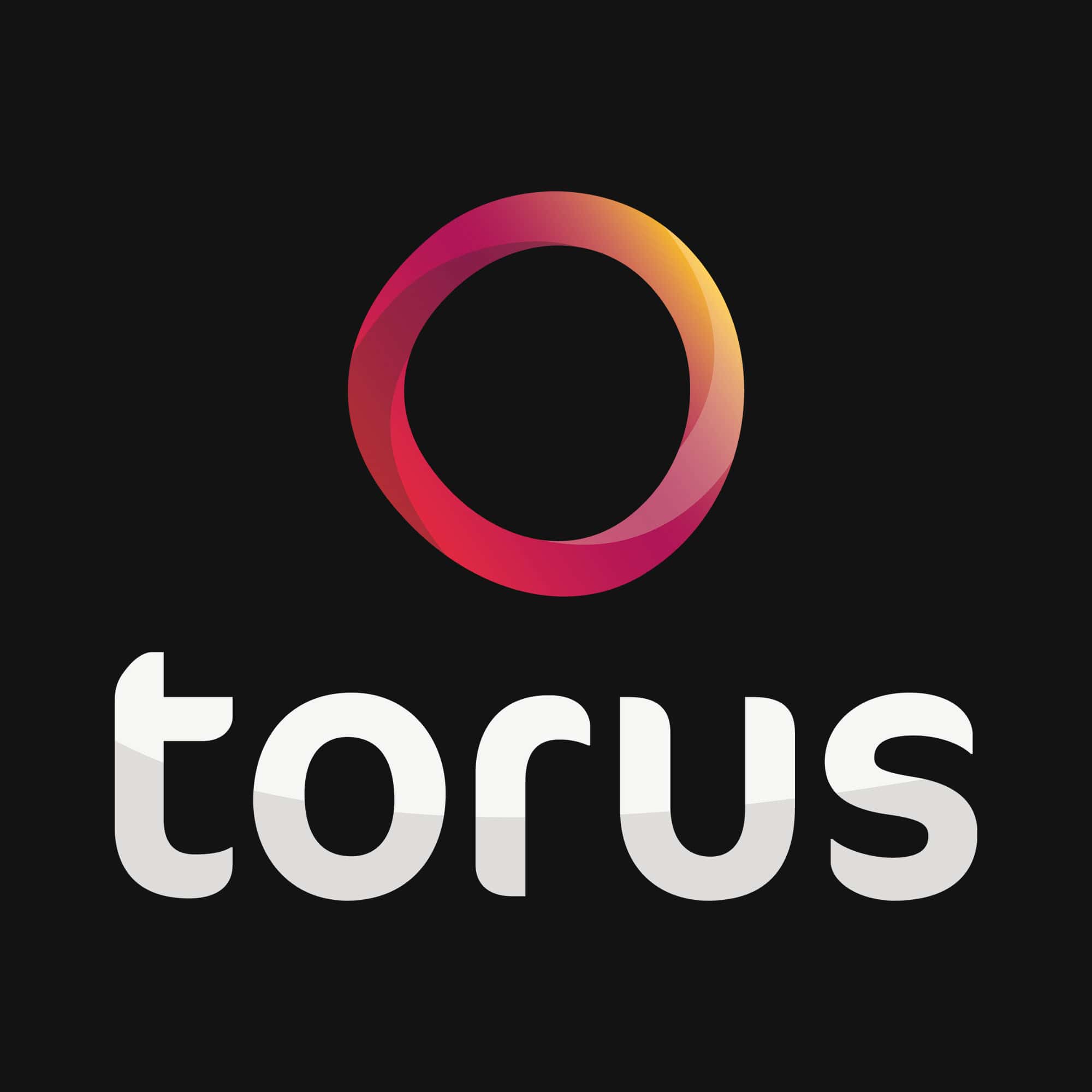 Torus - Housing - Income