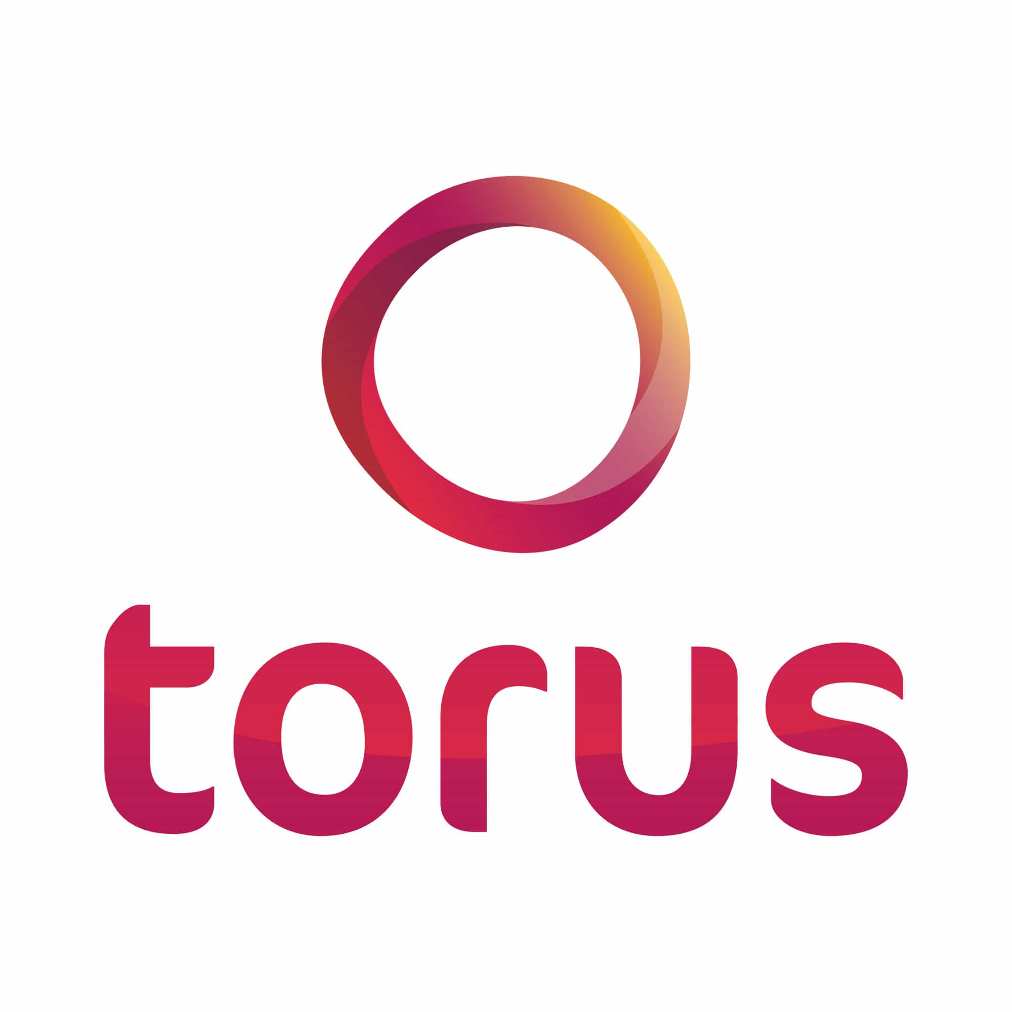 Torus logo with a gradient color scheme on a white background