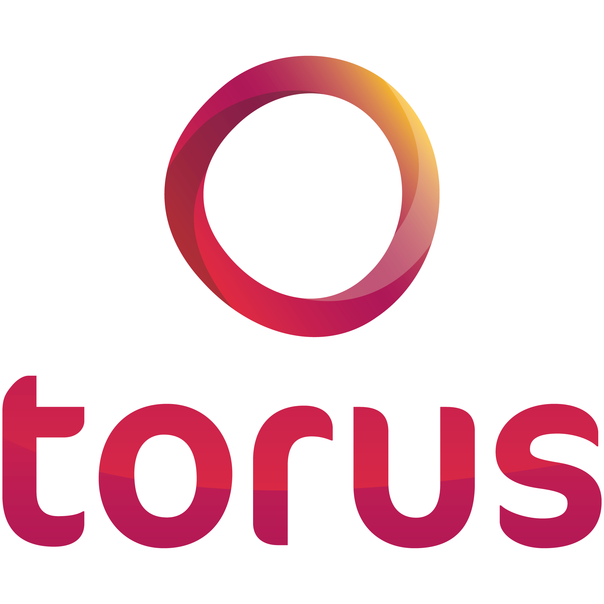 TORUS LOGO