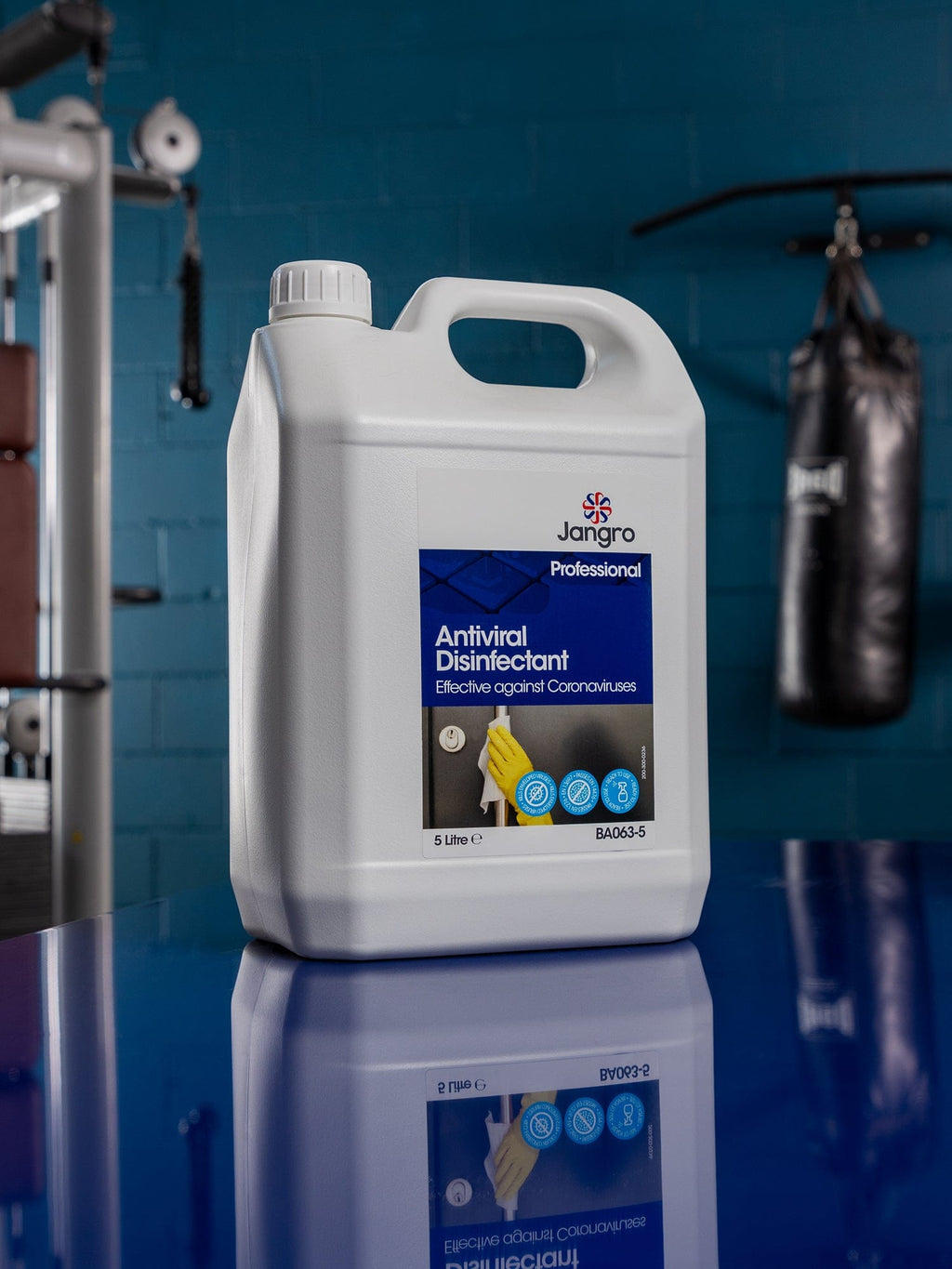 antiviral disinfectant general purpose sanitiser
