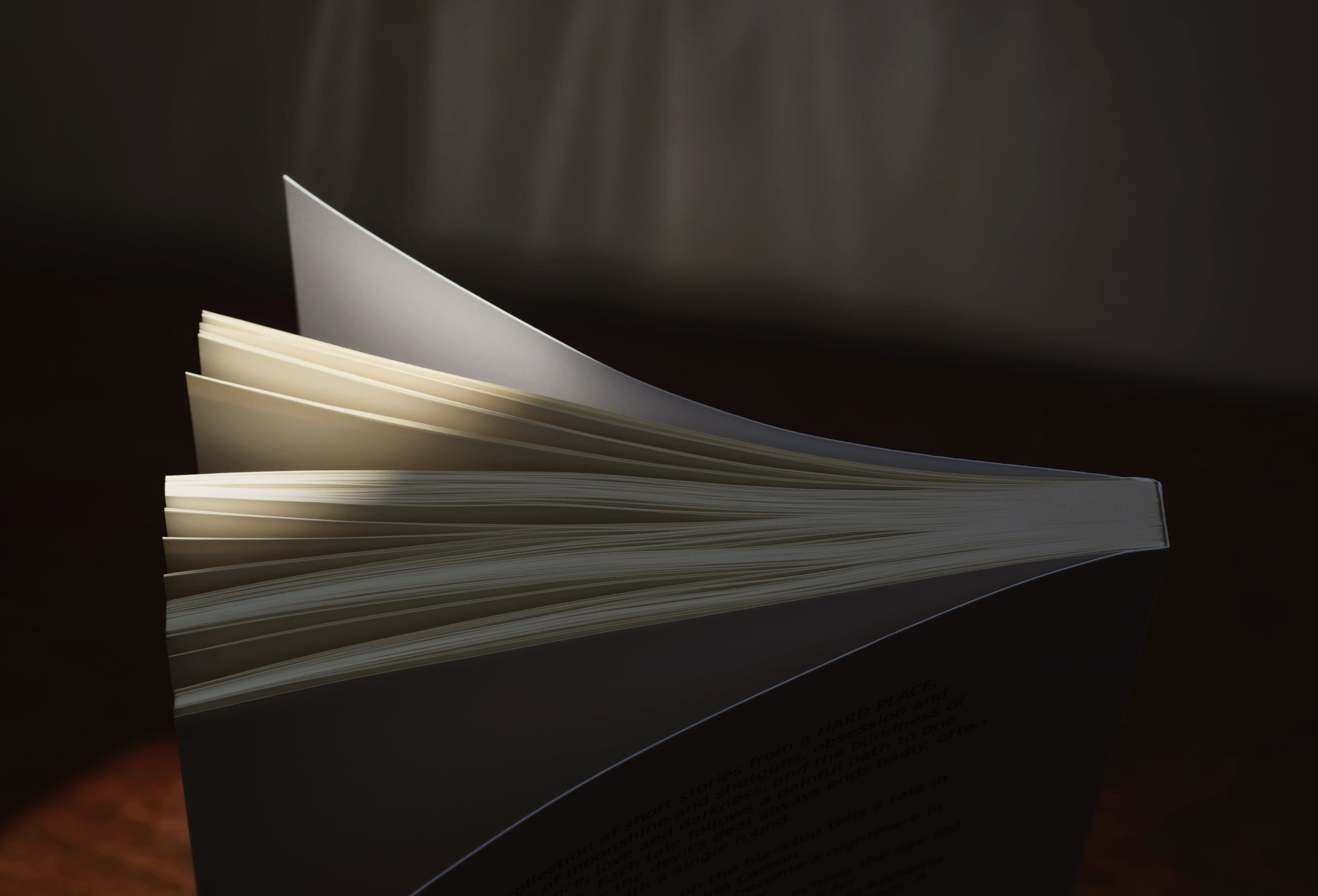 book stands up opening the pages in sunlight