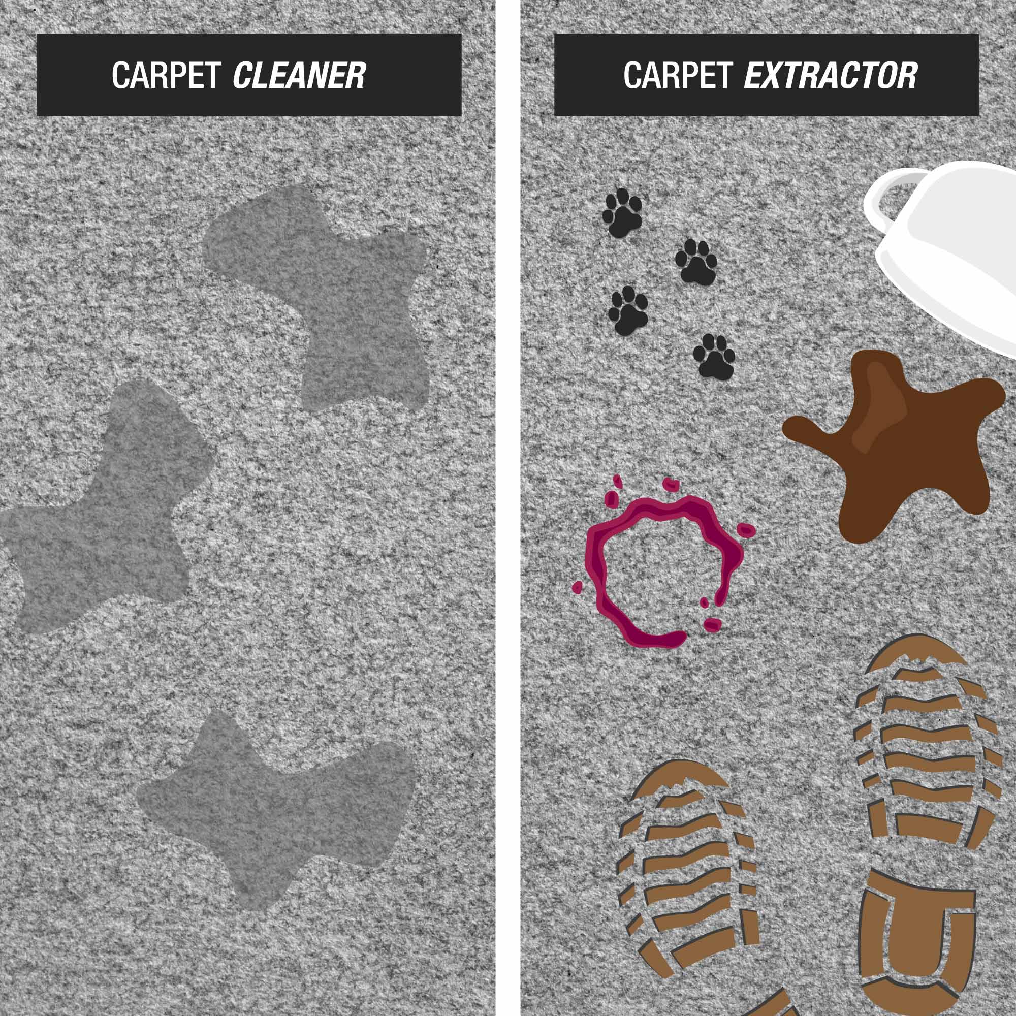 carpet extractors vs carpet cleaners