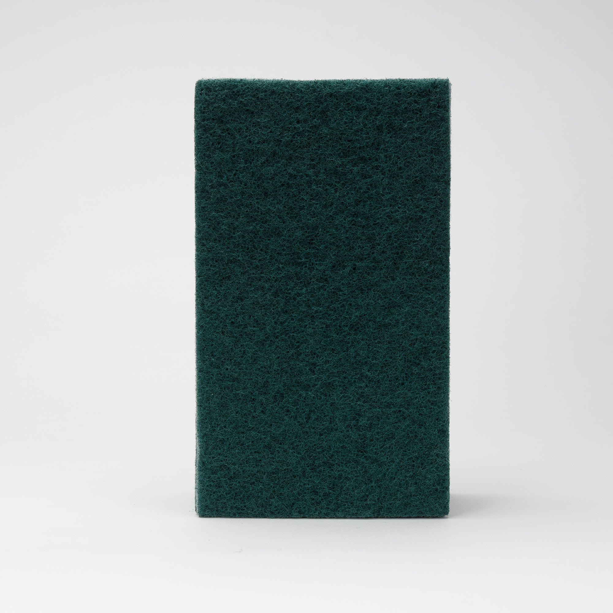 catering standards large scourer