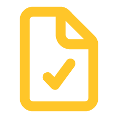 document check icon solution