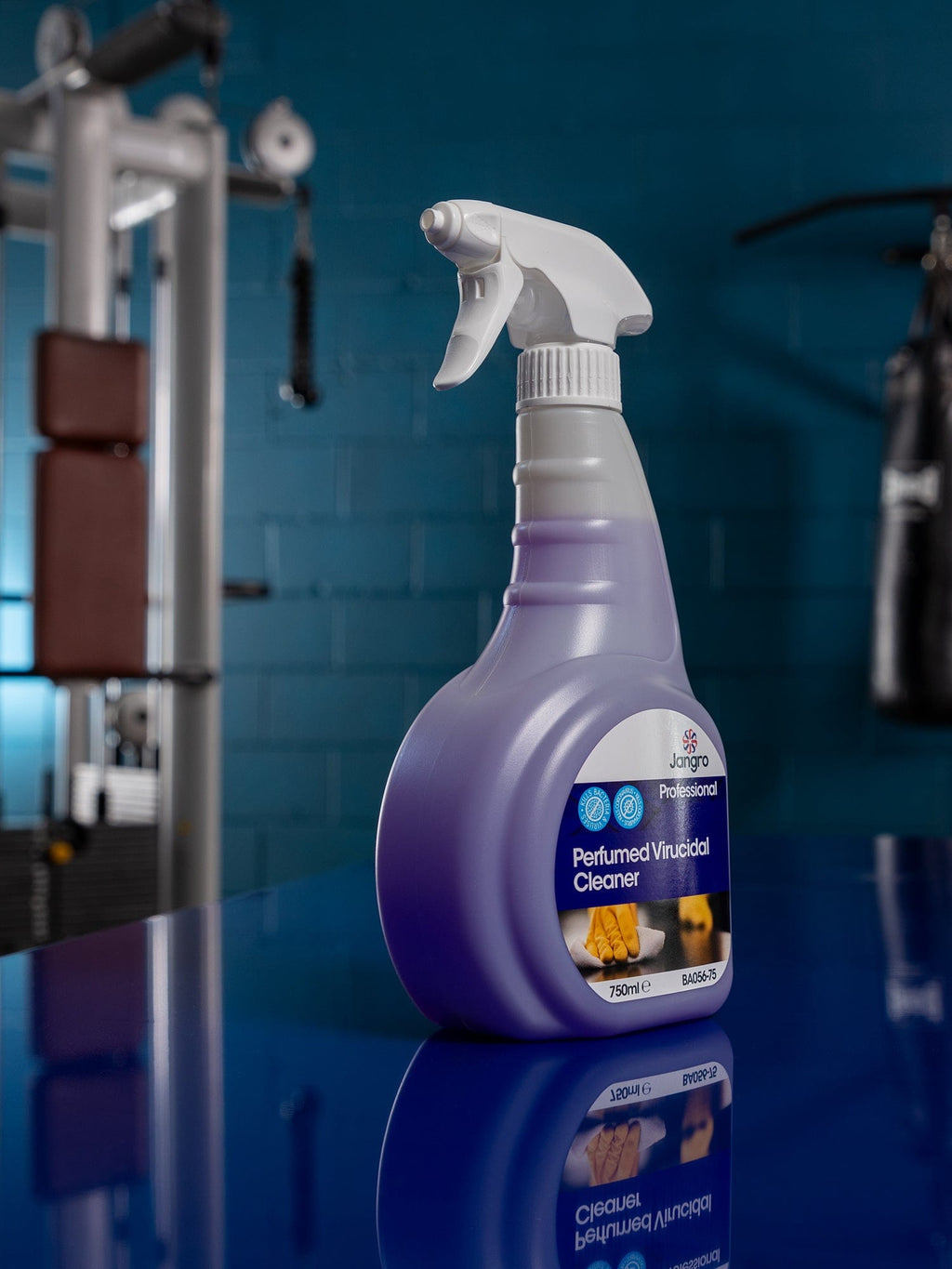 perfumed virucidal cleaner everyday use
