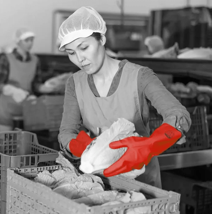 kitchen worker uses the polyco pura nitrile flocklined gloves while cleaning