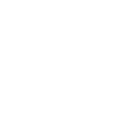 solutions tick
