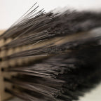 stiff wooden brush bristles