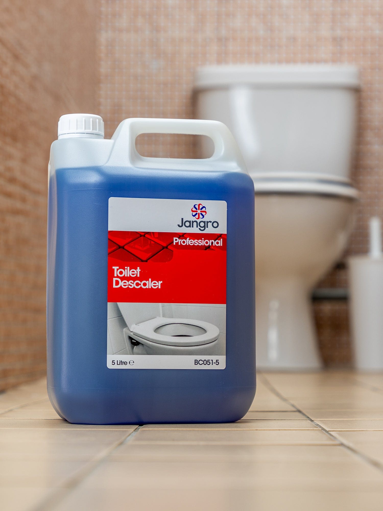 toilet descaler for schools