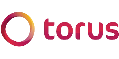torus developments logo