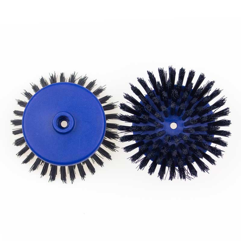 i scrub 21b brushes