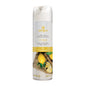 jangro air freshener aerosol bg040 ct