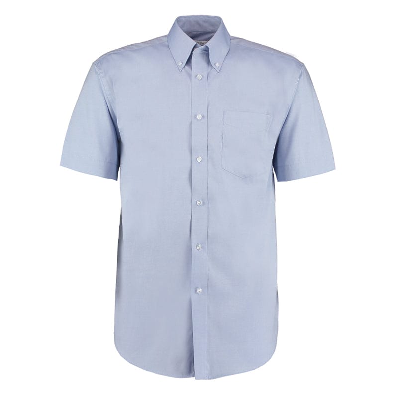 light blue button down collar shirt
