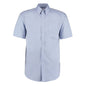 light blue button down collar shirt
